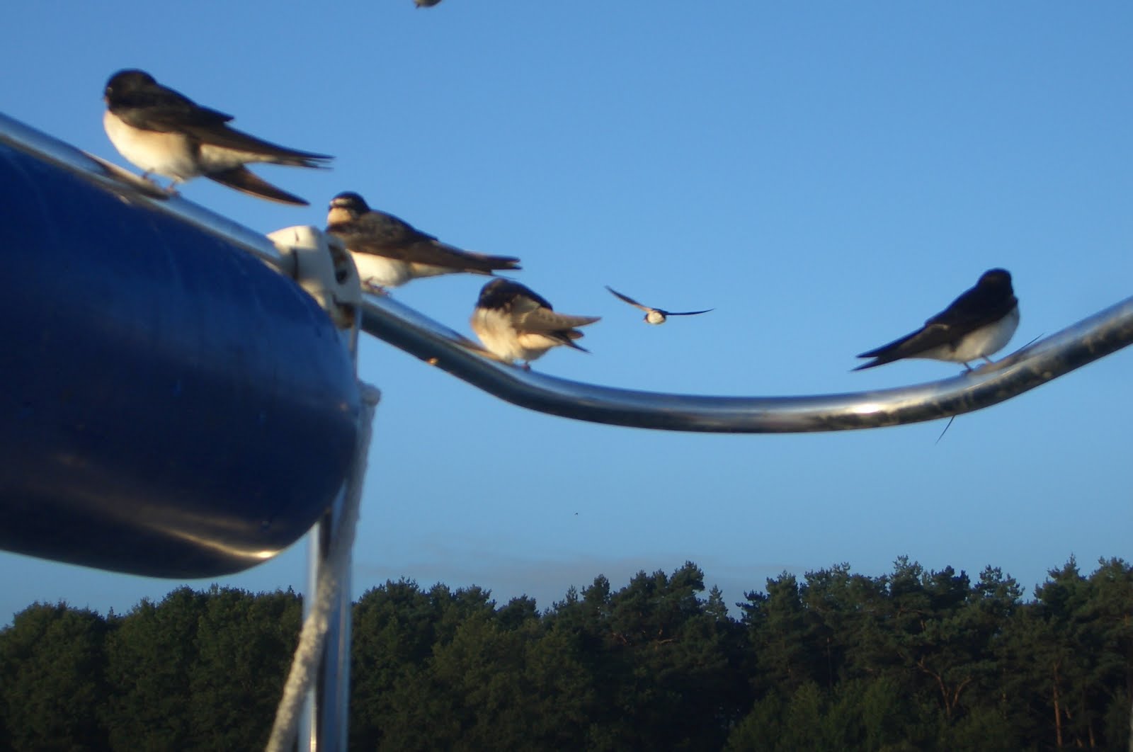 Nautischer Jahresabschluss 2009
